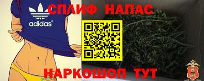 трава Камышлов