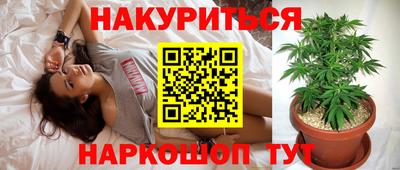 трава Камышлов