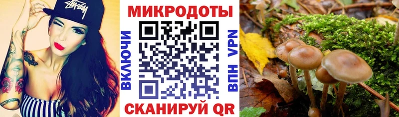 Псилоцибиновые грибы GOLDEN TEACHER  хочу наркоту  Новый Уренгой 