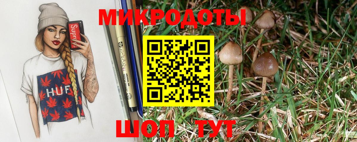 Псилоцибиновые грибы прущие грибы Новый Уренгой